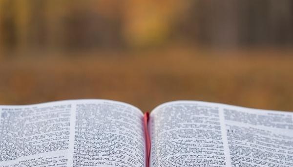 Our Sermons