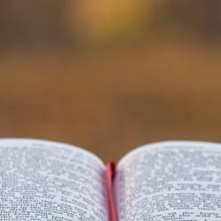 Our Sermons
